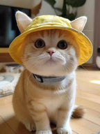 a05c82a2bc734b89a25b41af6d87b41e-Max-Origin