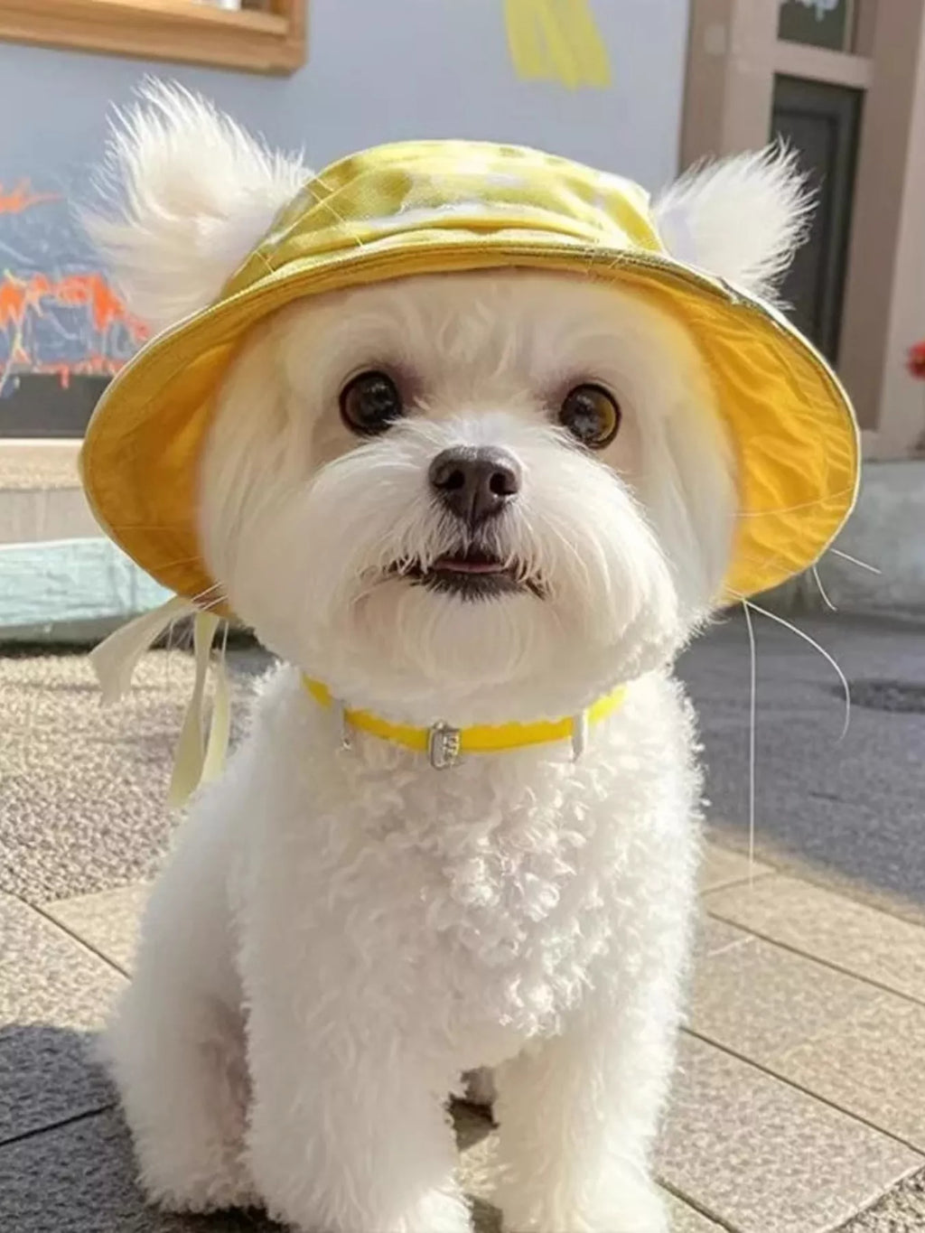 ff581e374ebb48e3ade68f68b7a664c7-Max-Origin