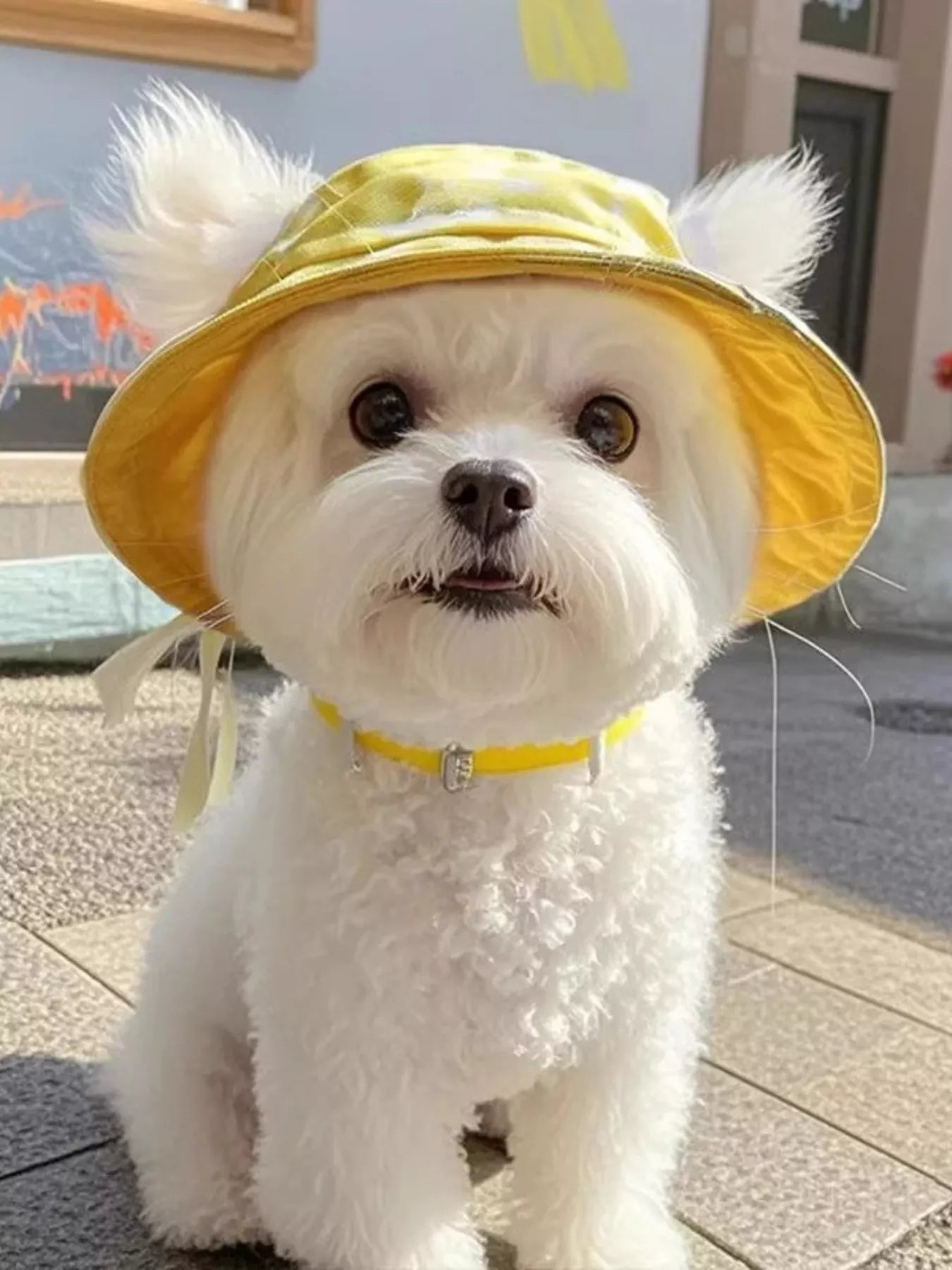 ff581e374ebb48e3ade68f68b7a664c7-Max-Origin